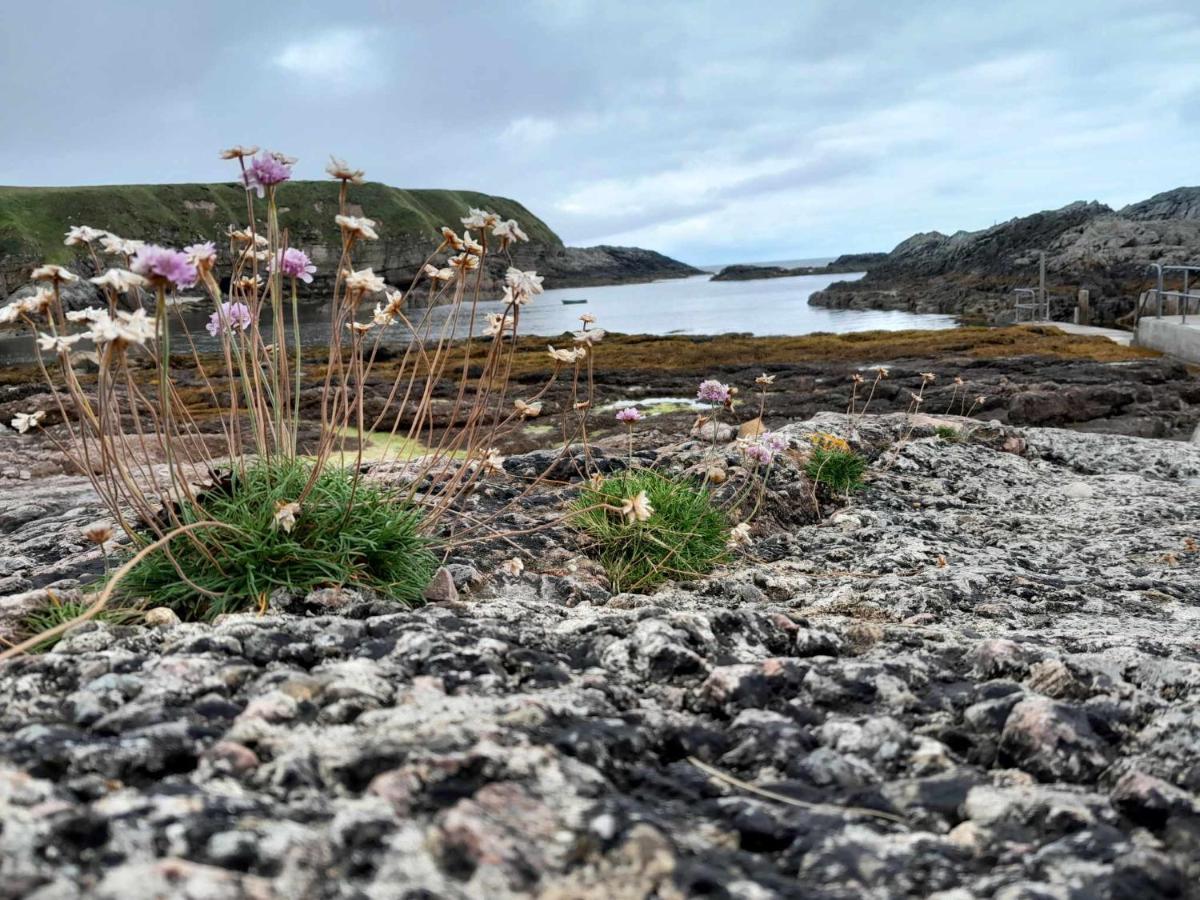 Southview Villa Portskerra Eksteriør billede